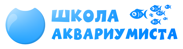 Видео, статьи, общение, вопрос-ответ и мастер-классы