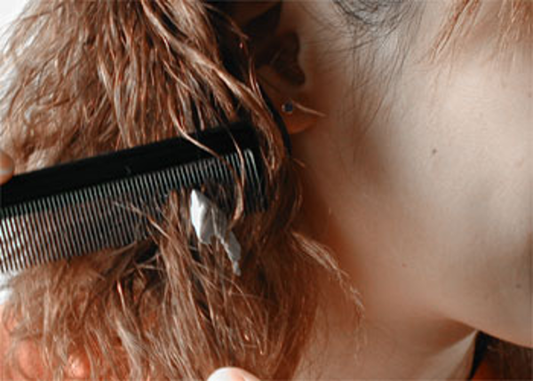 Подпишись на канал и поставь лайк! Ты поможешь развитию канала! Заранее спасибо!