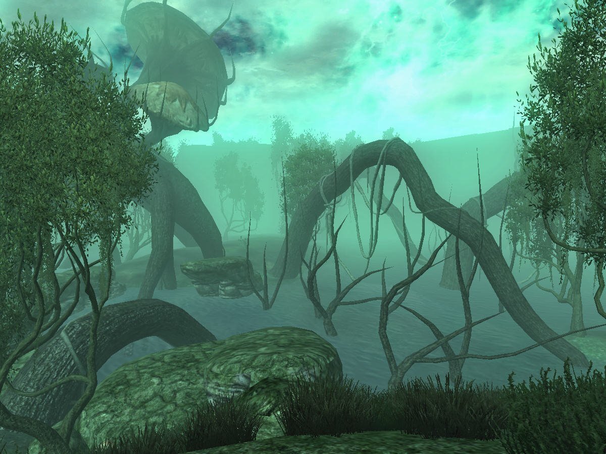 Грибные  деревья,  раскинувшиеся  над древними болотами...