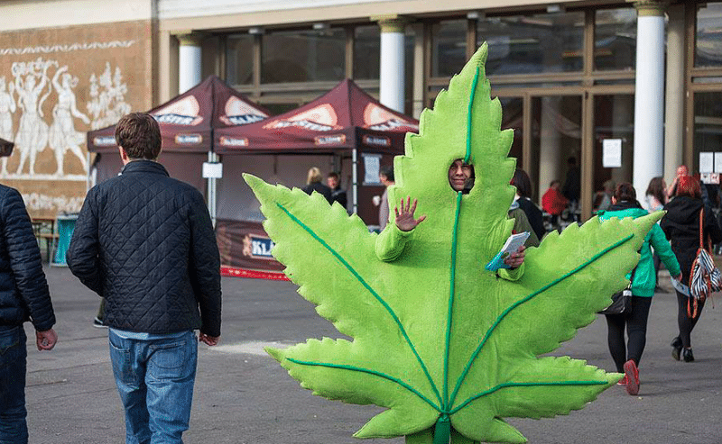 Пражский фестиваль конопли