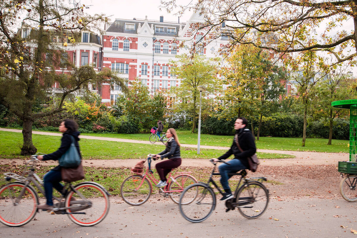 Источник Goggle