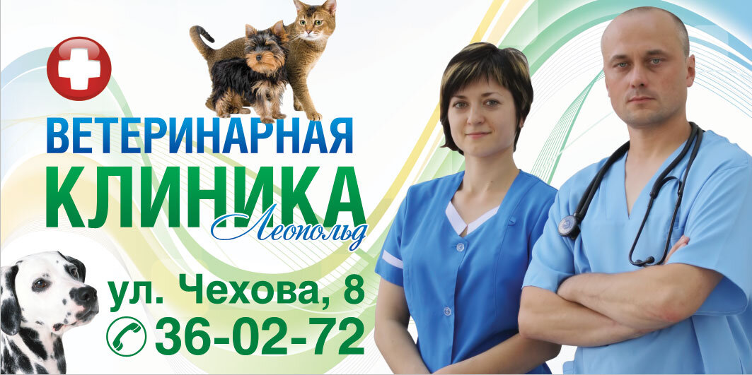 Ветлечебница выборг карта