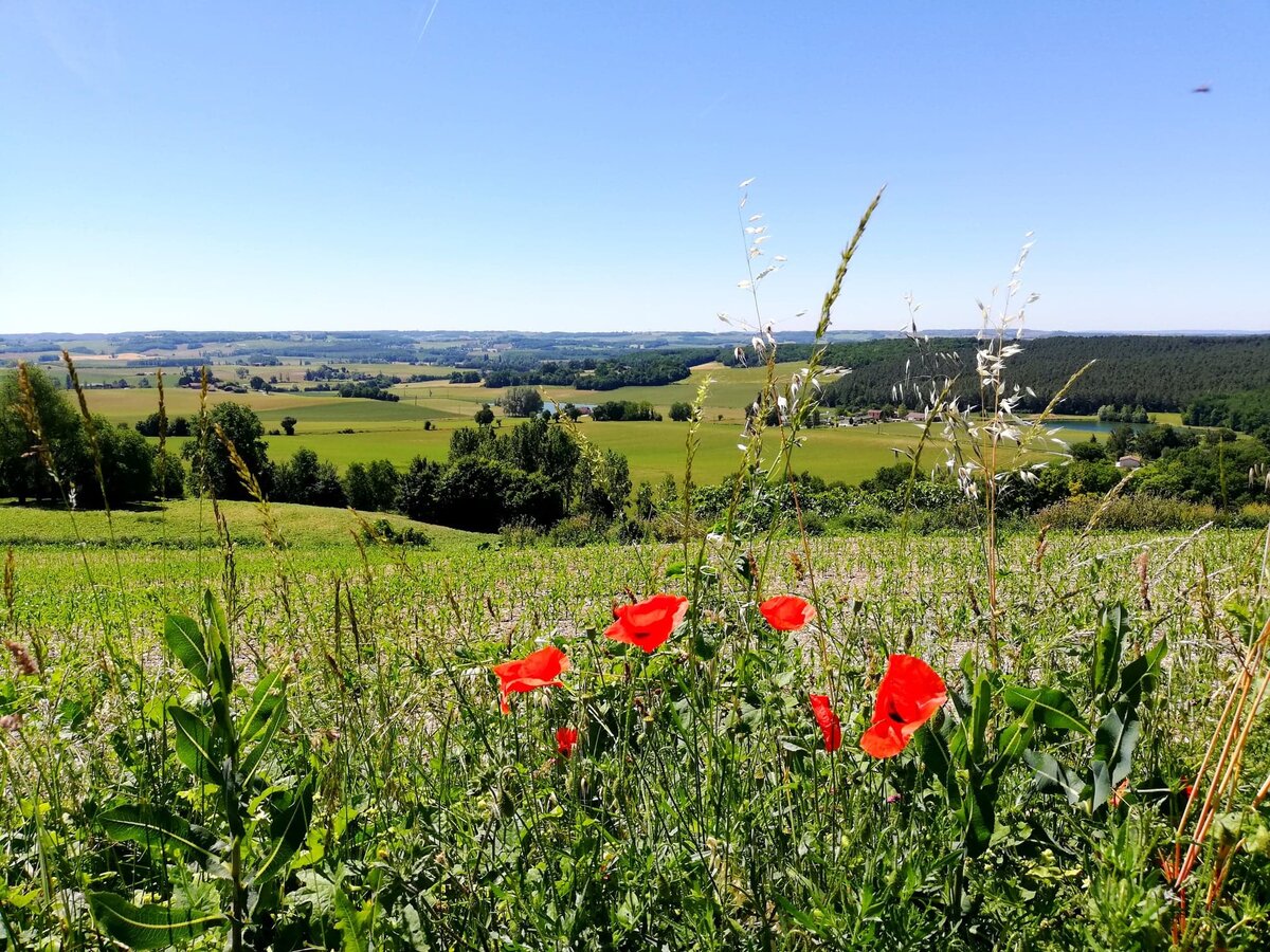 Стендаль называл наши края французской Тосканой