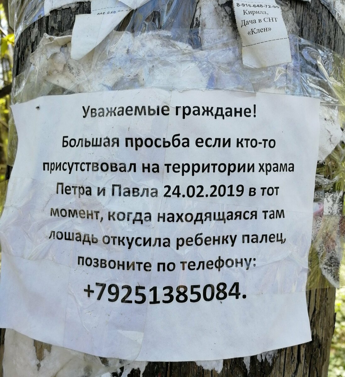 Уважаемые гости убедительная просьба. Просьба не бросать бумагу в унитаз. Очень смешные объявления. Большая просьба отправлять. Убедительная просьба.