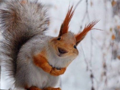 Я общительная и горячая! © Твоя Белая горячка. 
Источник: Яндекс-картинки