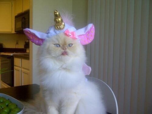 Когда надел свой самый шикарный наряд и идешь покорять мир.