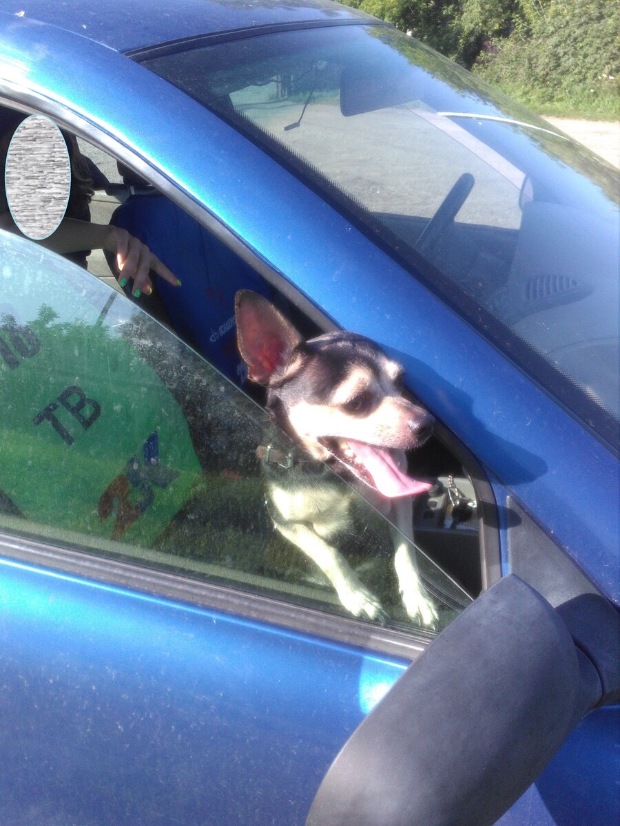 ФОТО автора