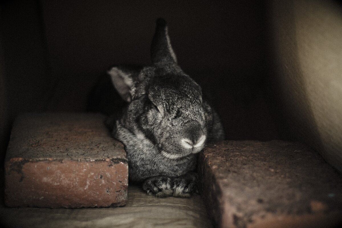 https://unsplash.com/photos/nvKnF7wC0g0 Iván C. Fajardo