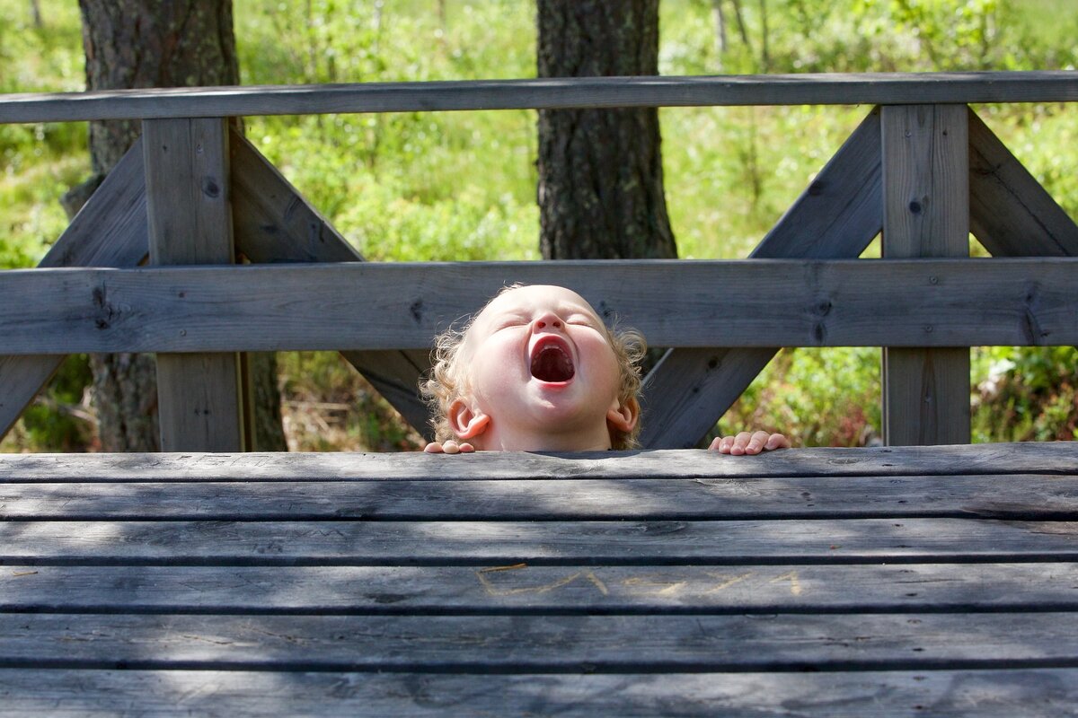 https://pixabay.com/photos/screams-of-joy-child-childhood-2481573/