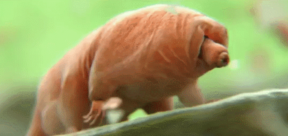 Источник: yandex.ru