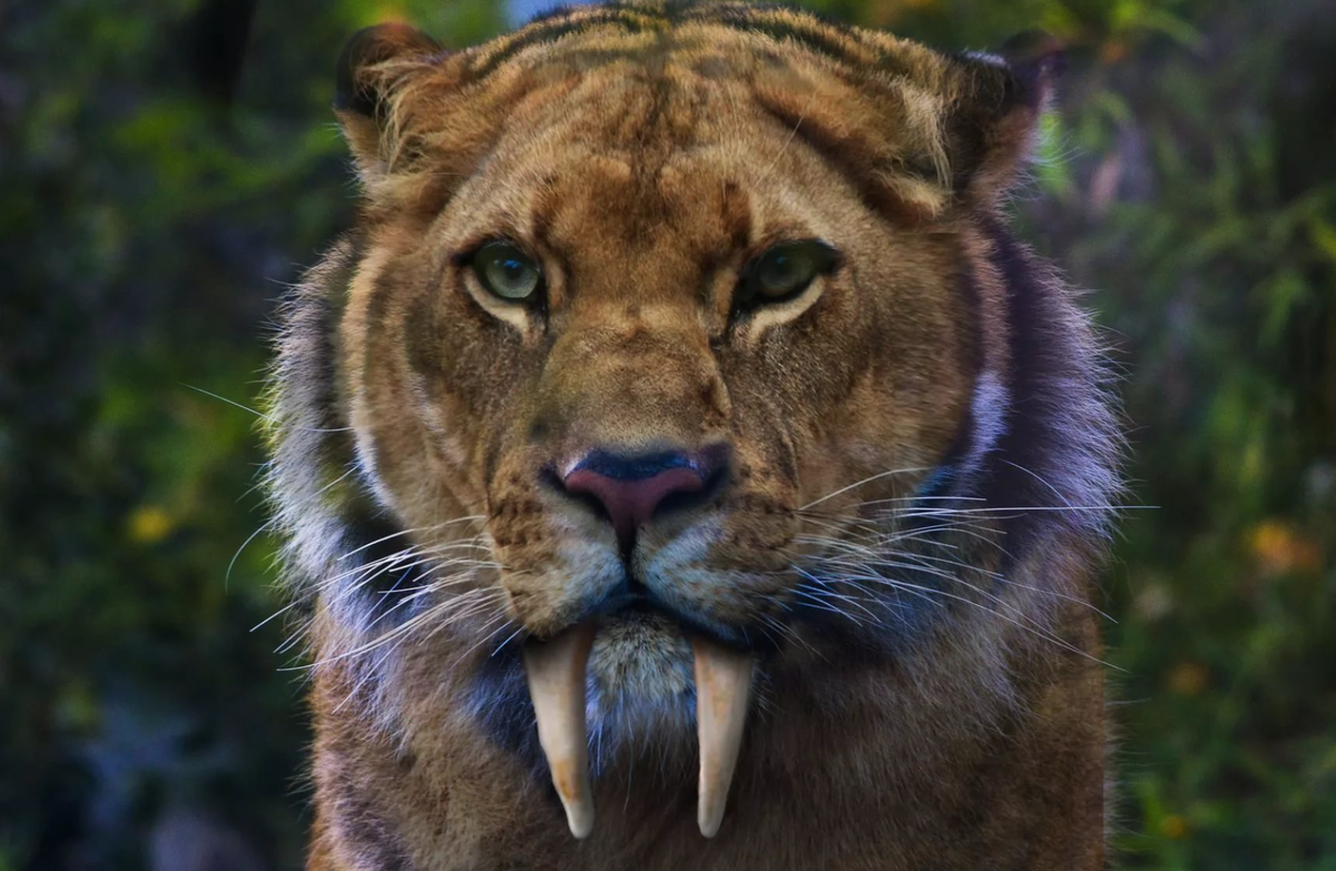 Smilodon