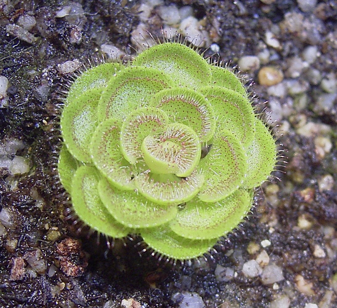 Источник: Яндекс картинки