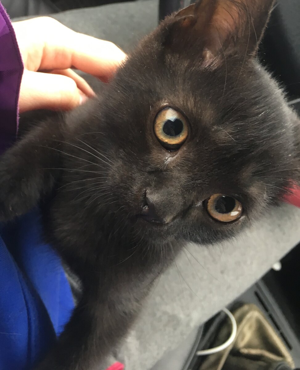 1 час с нами