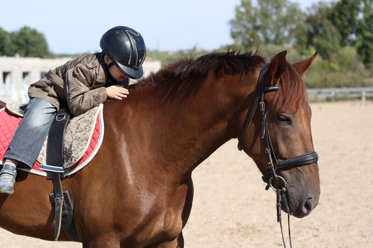 Иппотерапия для детей. Терапия лошадьми. Иппотерапия. Иппотерапия конный спорт. Иппотерапия конный спорт.