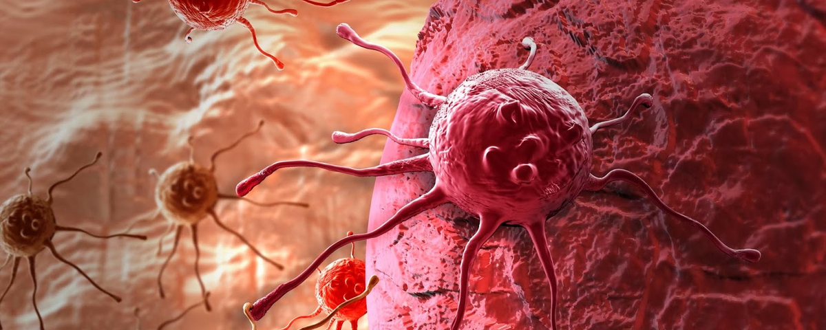 Источник pixabay.com