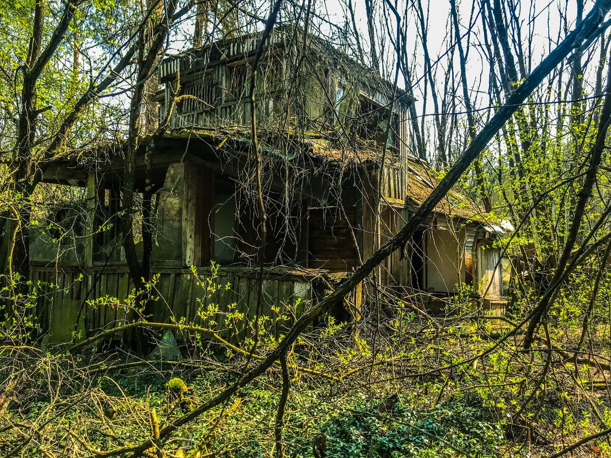 В Припяти нашли интересные частные дома на окраине города. Здесь большая радиация. Фото