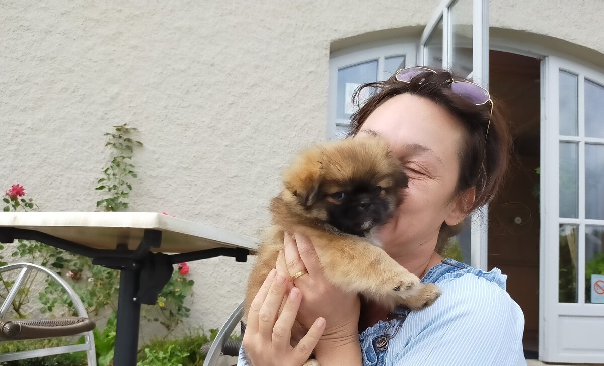 Это девочка тибетского спаниеля и зовут ее Текила)))