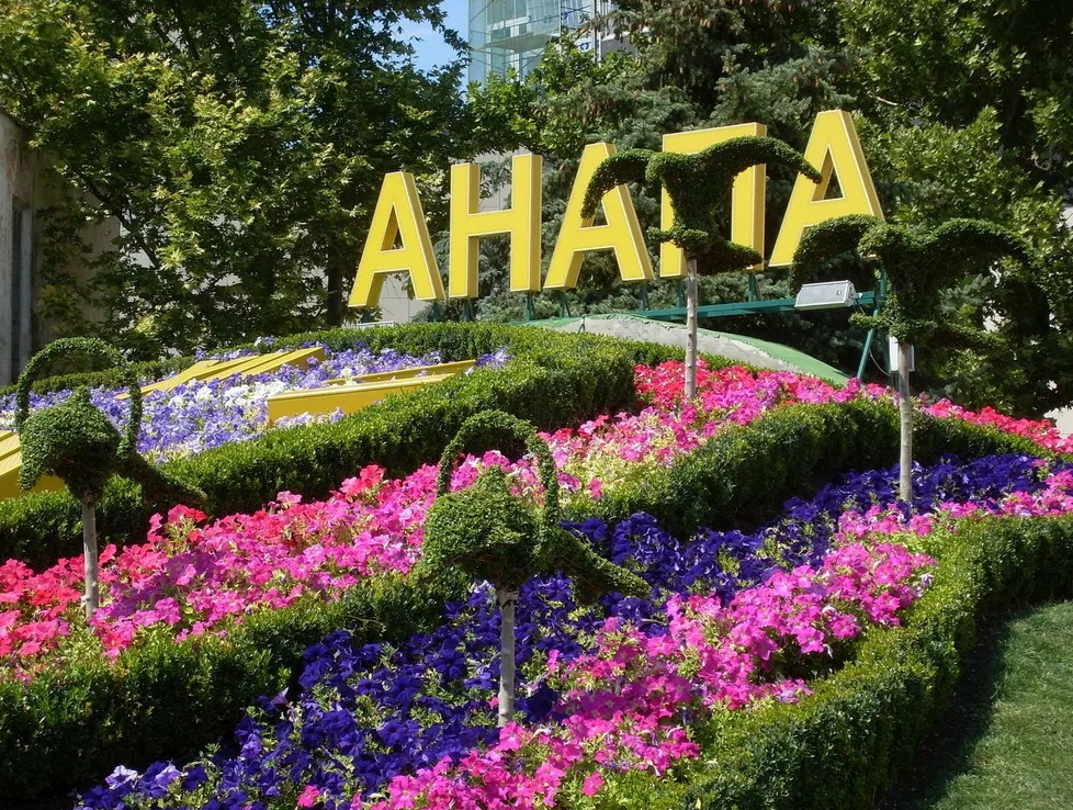 картинка из яндекс