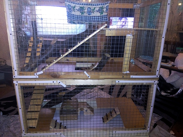 Вот оно, собственно и есть. Только сделала его на 90% я сама. Фото автора.