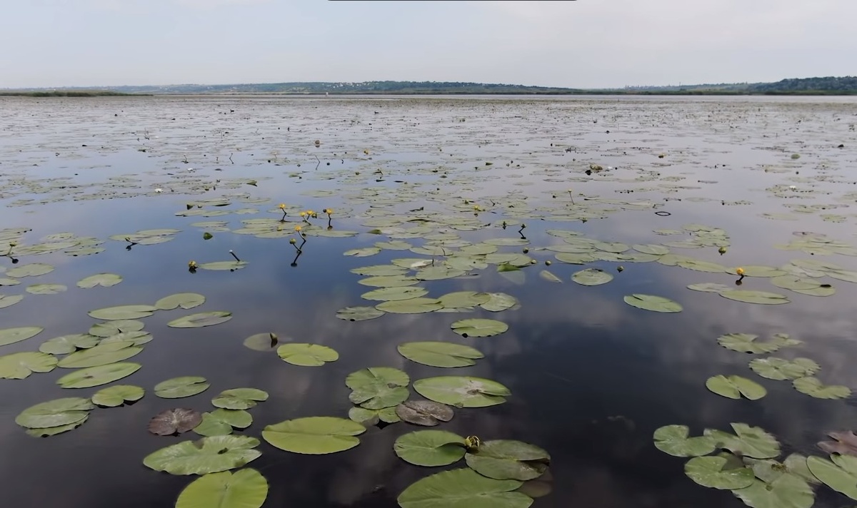 Прекрасная природа 