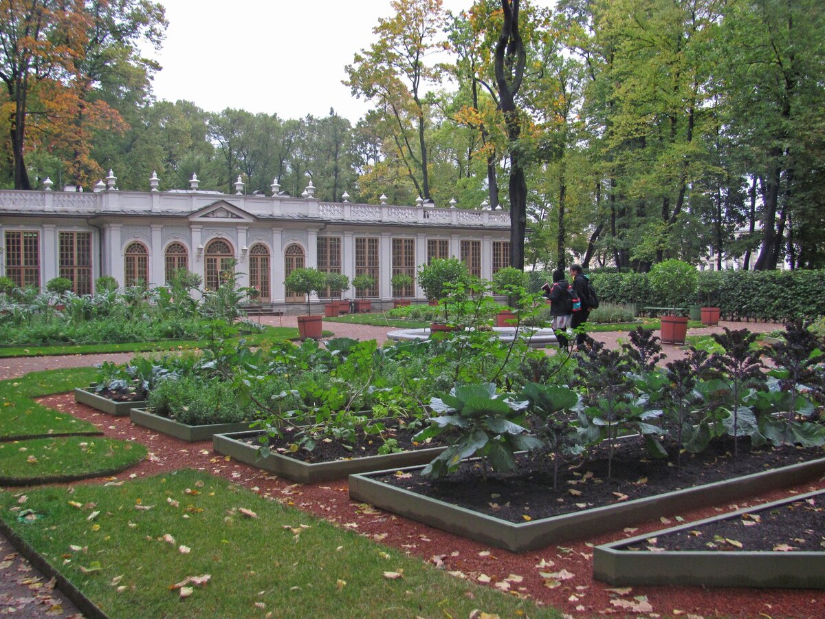 Летний сад Петра в Санкт-Петербурге