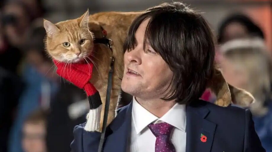 Боб и Джеймс на красной ковровой дорожке.Джеймс Боуэн и его кот Боб прибывают в 2016 году на мировую премьеру «Уличного кота по имени Боб».