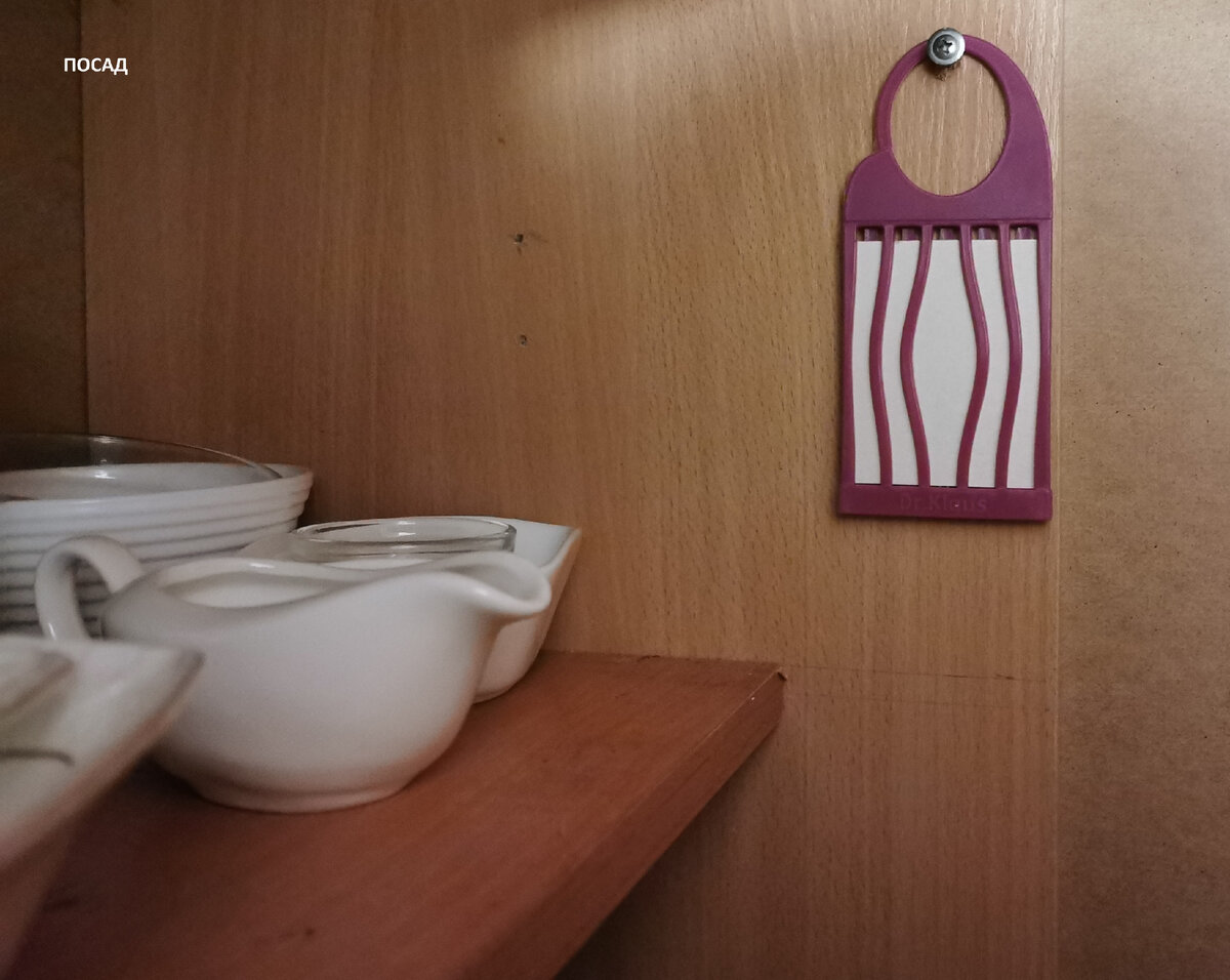 На всякий случай рекомендую: эти пластинки неплохо отпугивают пищевую моль. Резкого запаха они не имеют и не сообщают бакалее посторонний аромат. Моли у нас нет, но для профилактики держим. Покупаем в Леруа.