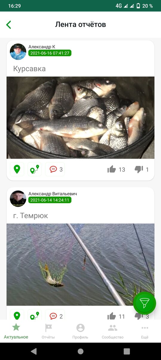 Лента отчётов приложения.
