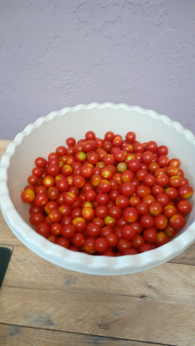 Помидоры черри. Фото автора