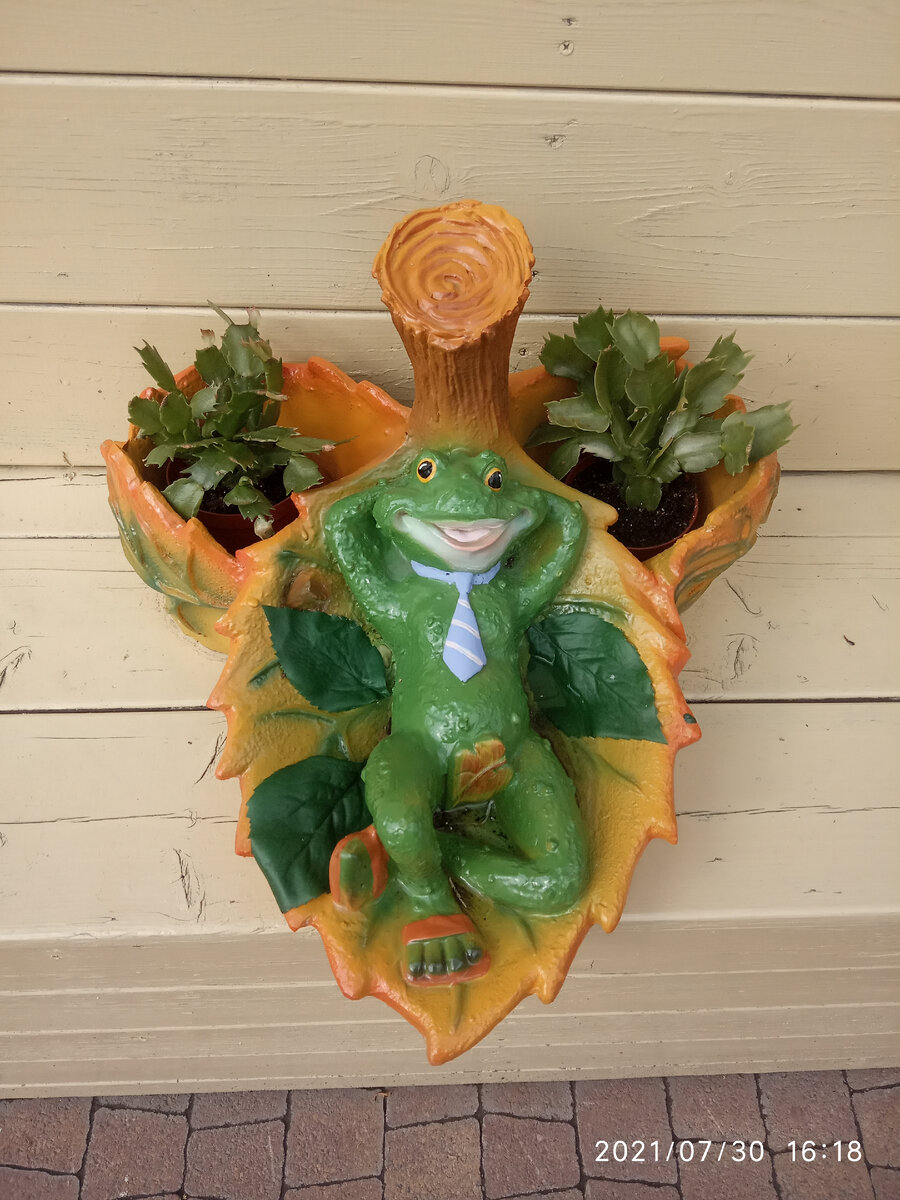 Лягушки тоже отдыхают