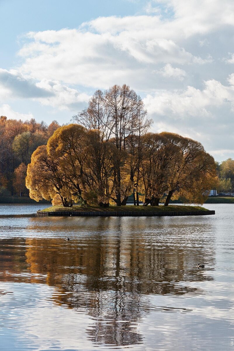 Источник: tsaritsyno-museum.ru