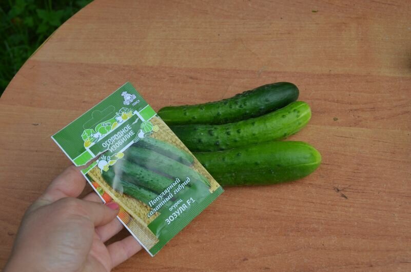 Вот такие плоды у гибрида "Зозуля".