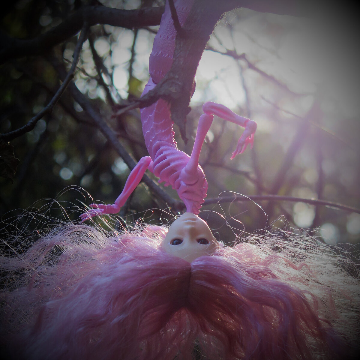 Фотографии авторские.