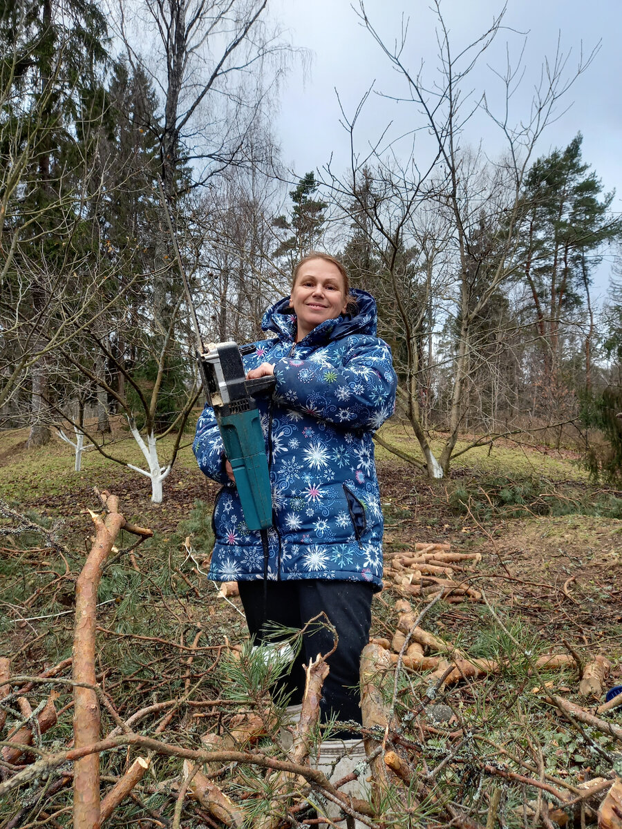 Ноябрь 21 года