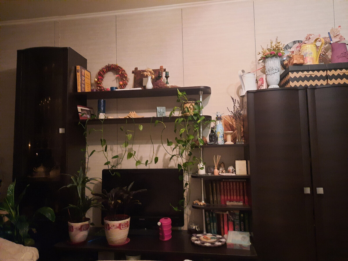 стенка заполненная всяким хламом