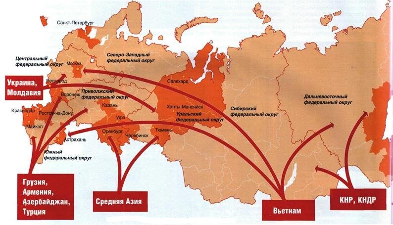 Территория удовлетворения. Внешняя миграция России карта. Карта миграции населения России. Карта миграции населения России 2020. Основные направления миграционных потоков в России на карте.