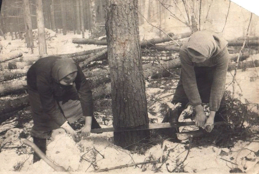 Фото из бесплатного доступа