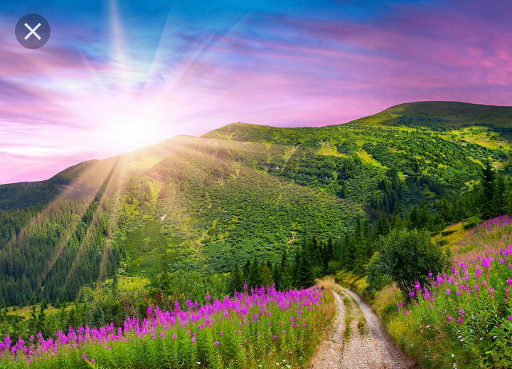 Фото из интернета 