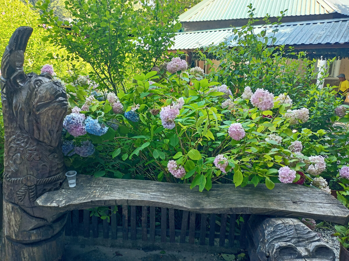 Медвежий угол, Сочи. Фото автора