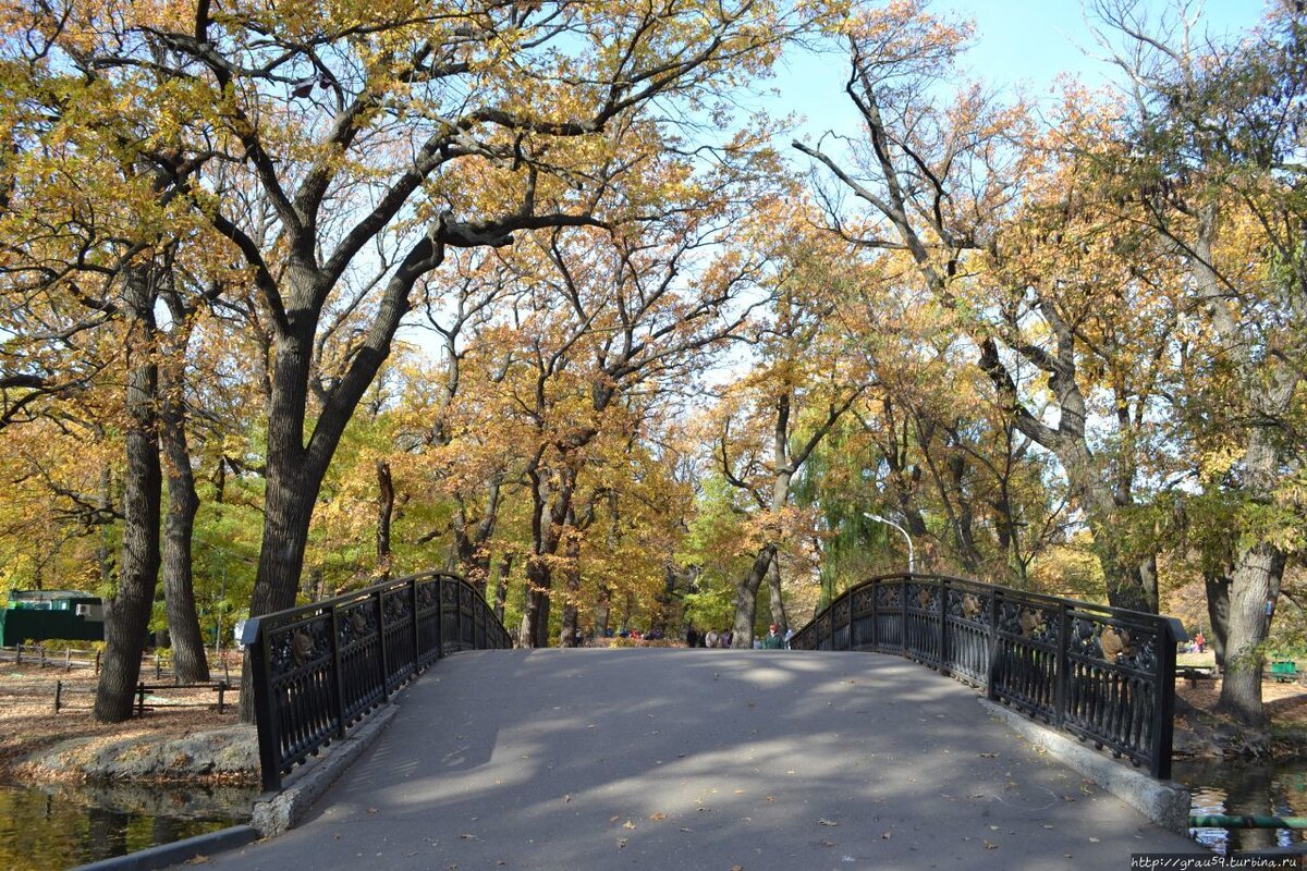 саратовский городской парк