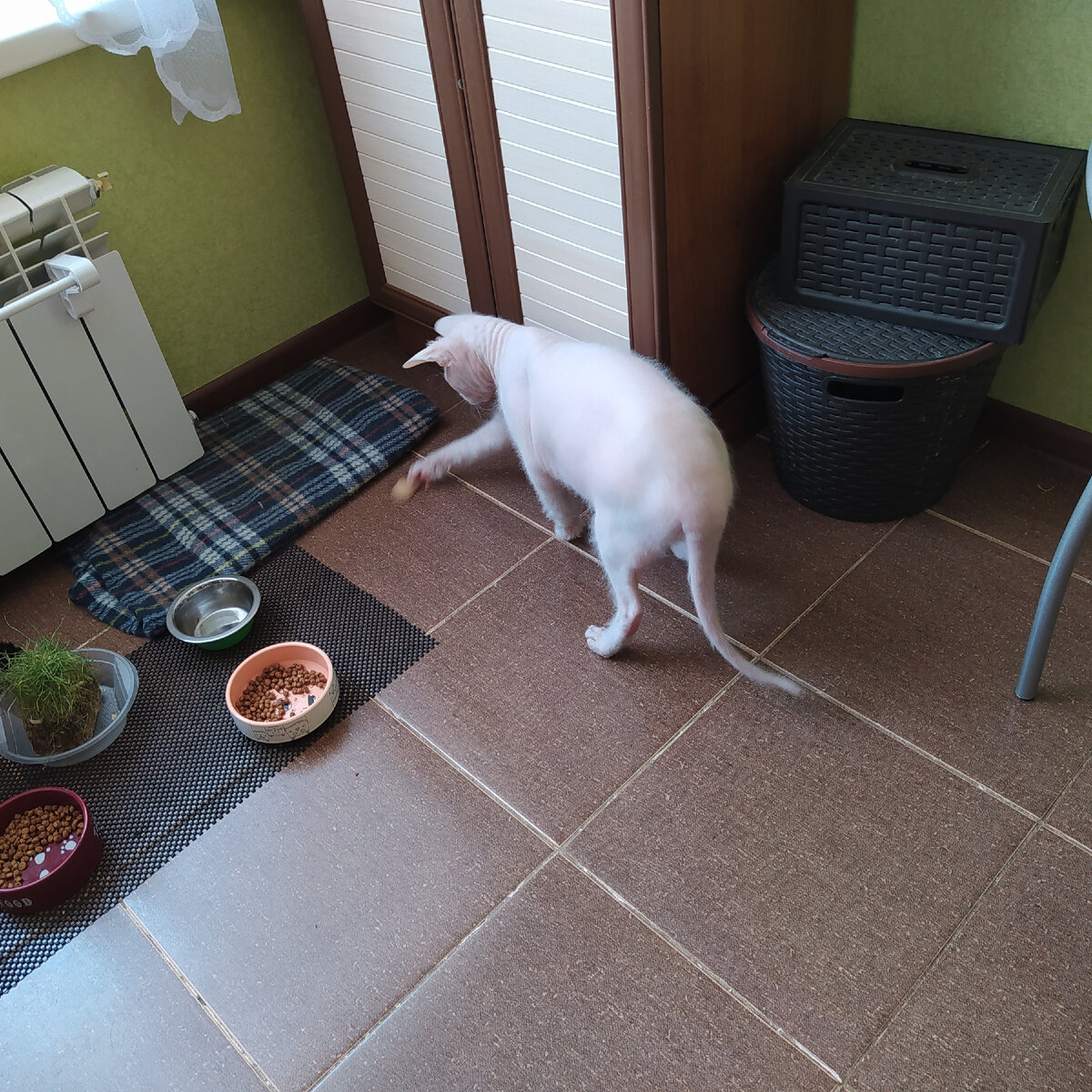 ещё подача...