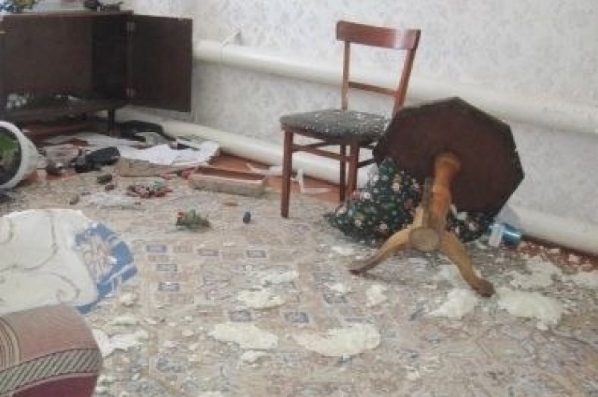    В Каргатском районе двое братьев убили пенсионерку и забрали ее деньги