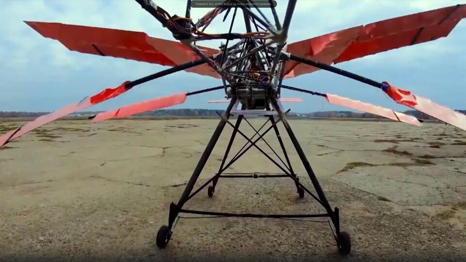 Фото: © Скриншот видео