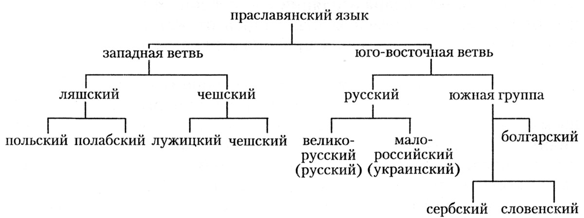 Славянские языки и их развитие проект