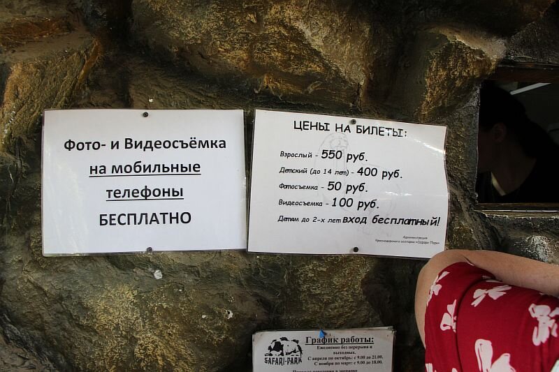 Солнечный остров режим работы. Сафари парк Владивосток билет. Стоимость билета в сафари парк.