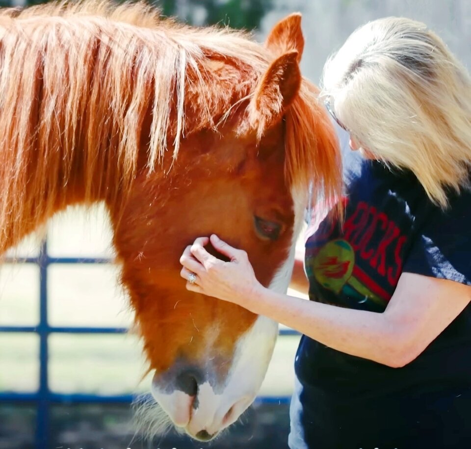 Стефани теперь лучший друг Дэшера