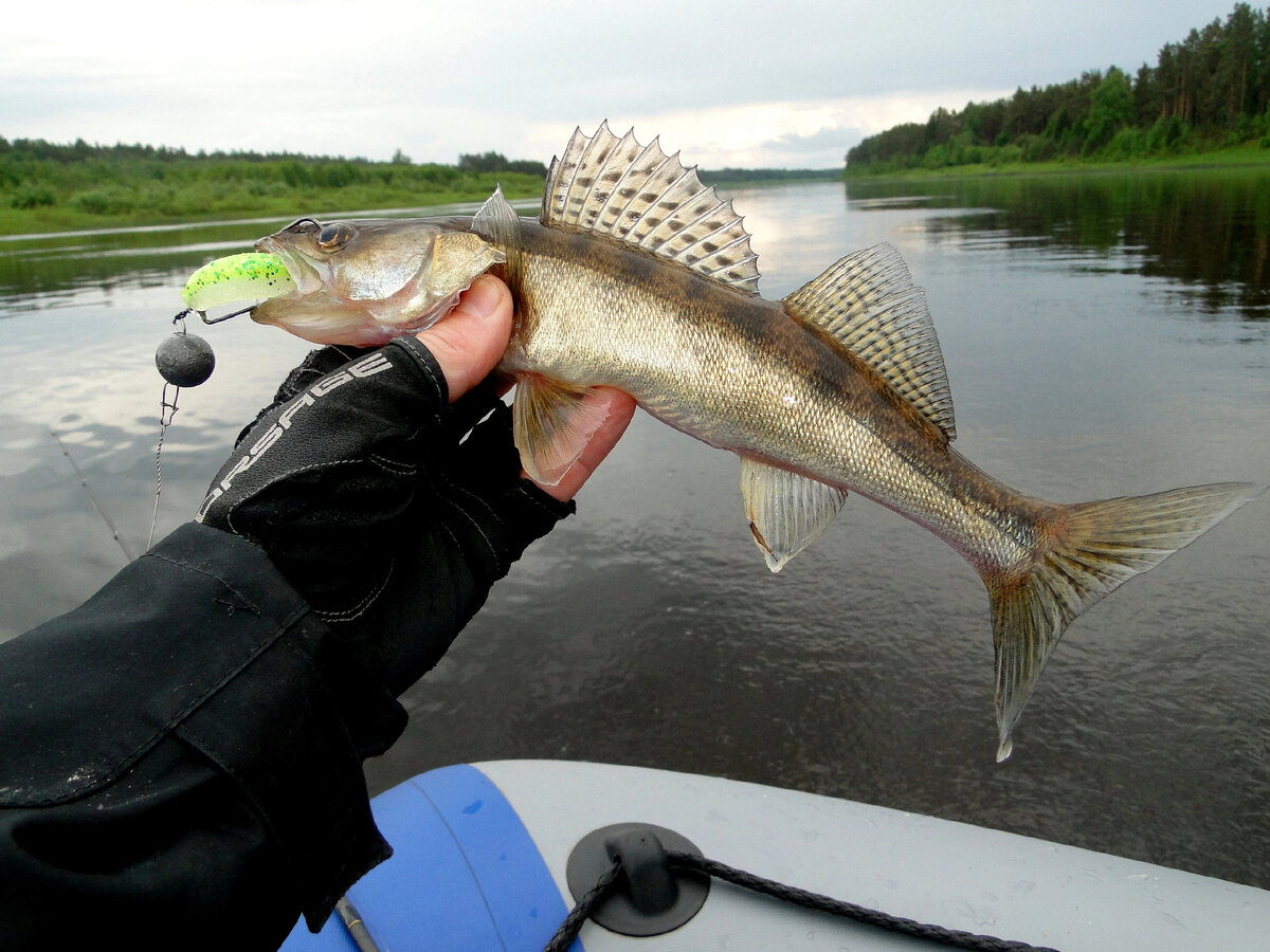 Ловить рыбу в московской области