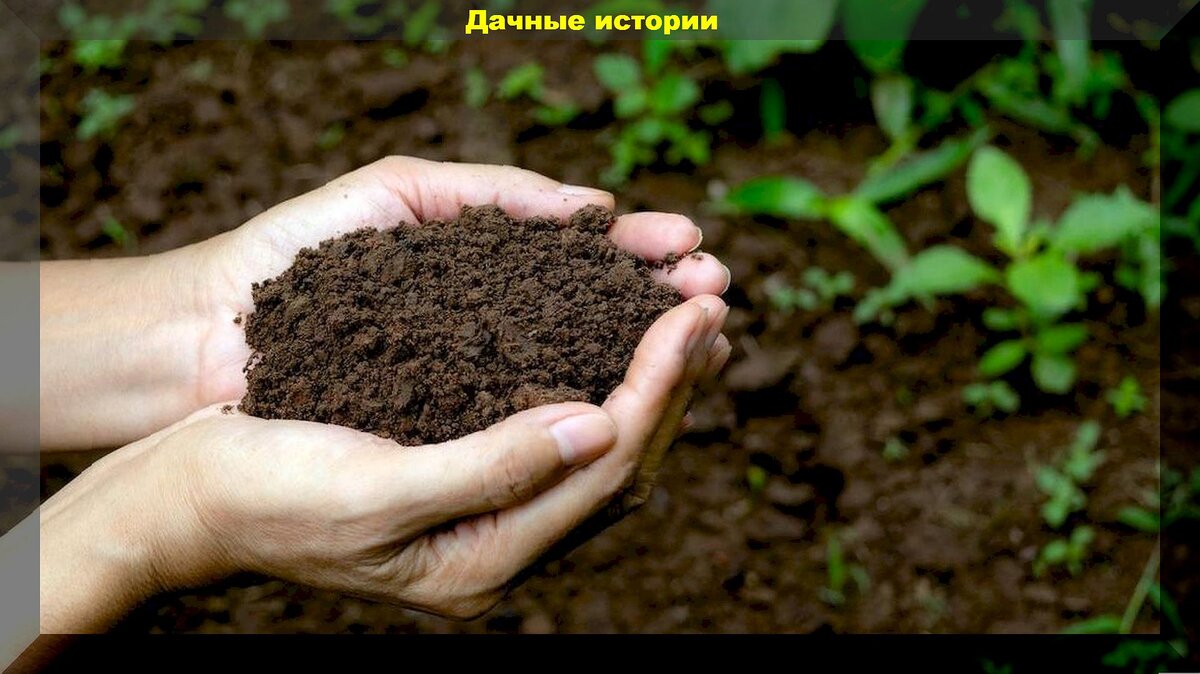 https://vk.com/photo-159774511_457261855