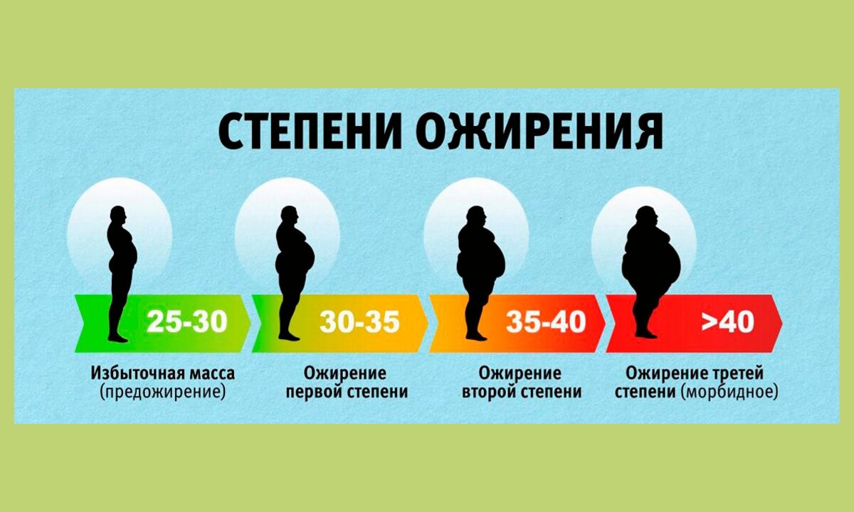 Как быстро худеет организм? Пройди тест на скорость снижения веса