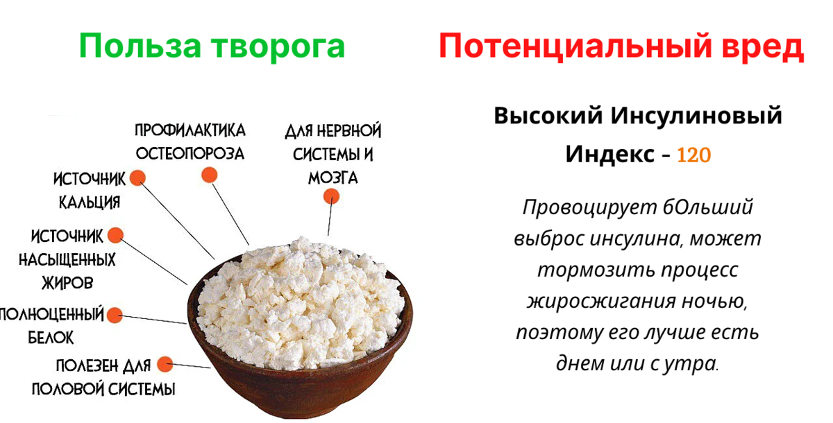 Польза и вред творога